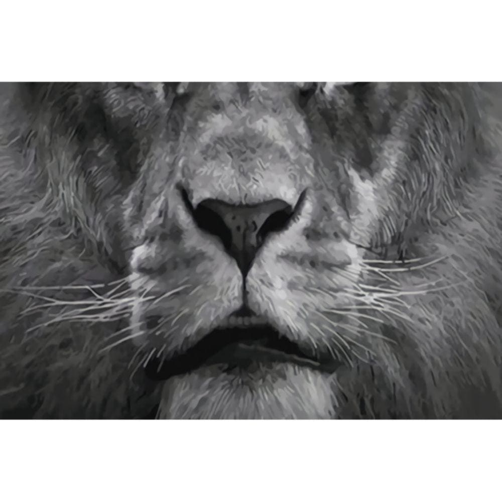 1000pcs Jigsaw Puzzle A1936 - Justjigsaws