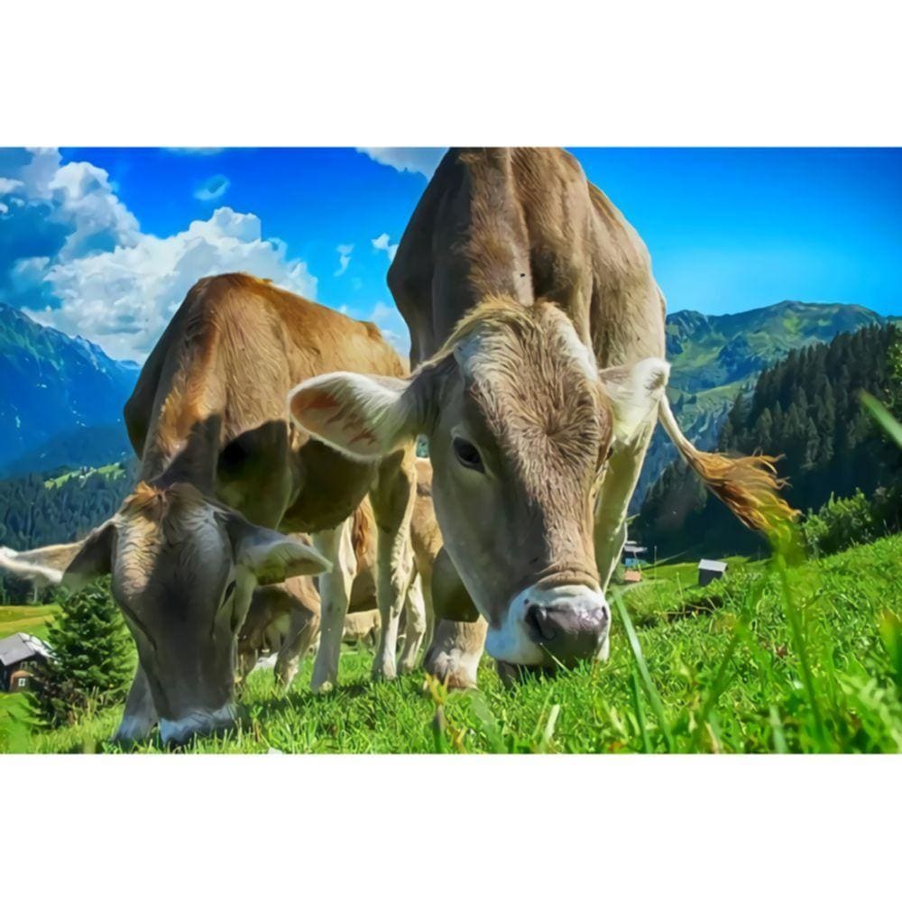 1000pcs Jigsaw Puzzle A2184 - Justjigsaws