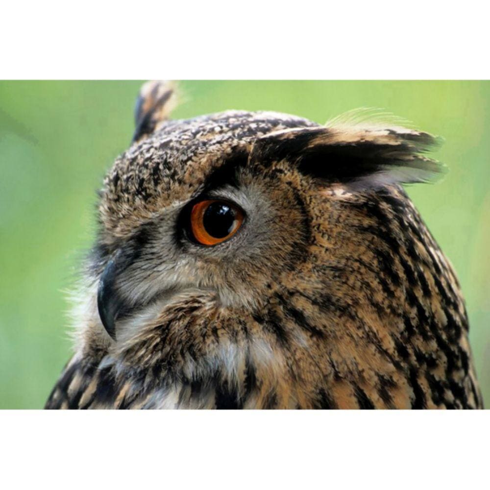 1000pcs Jigsaw Puzzle A2492 - Justjigsaws