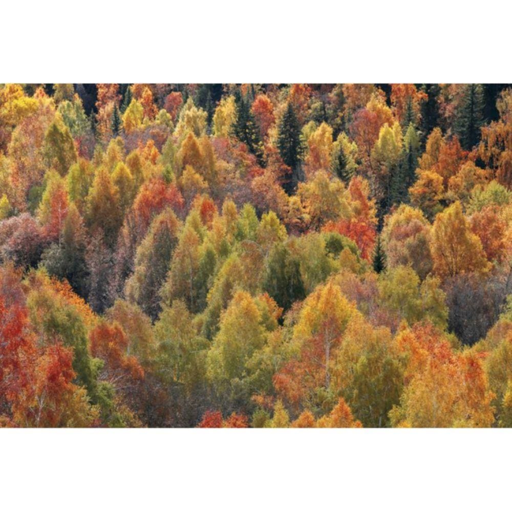 1000pcs Jigsaw Puzzle A2640 - Justjigsaws