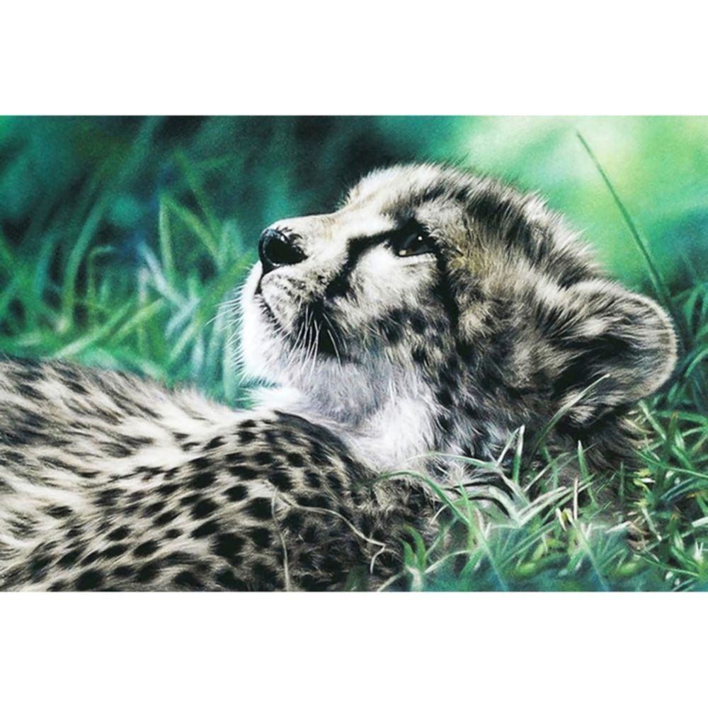 1000pcs Jigsaw Puzzle A2700 - Justjigsaws