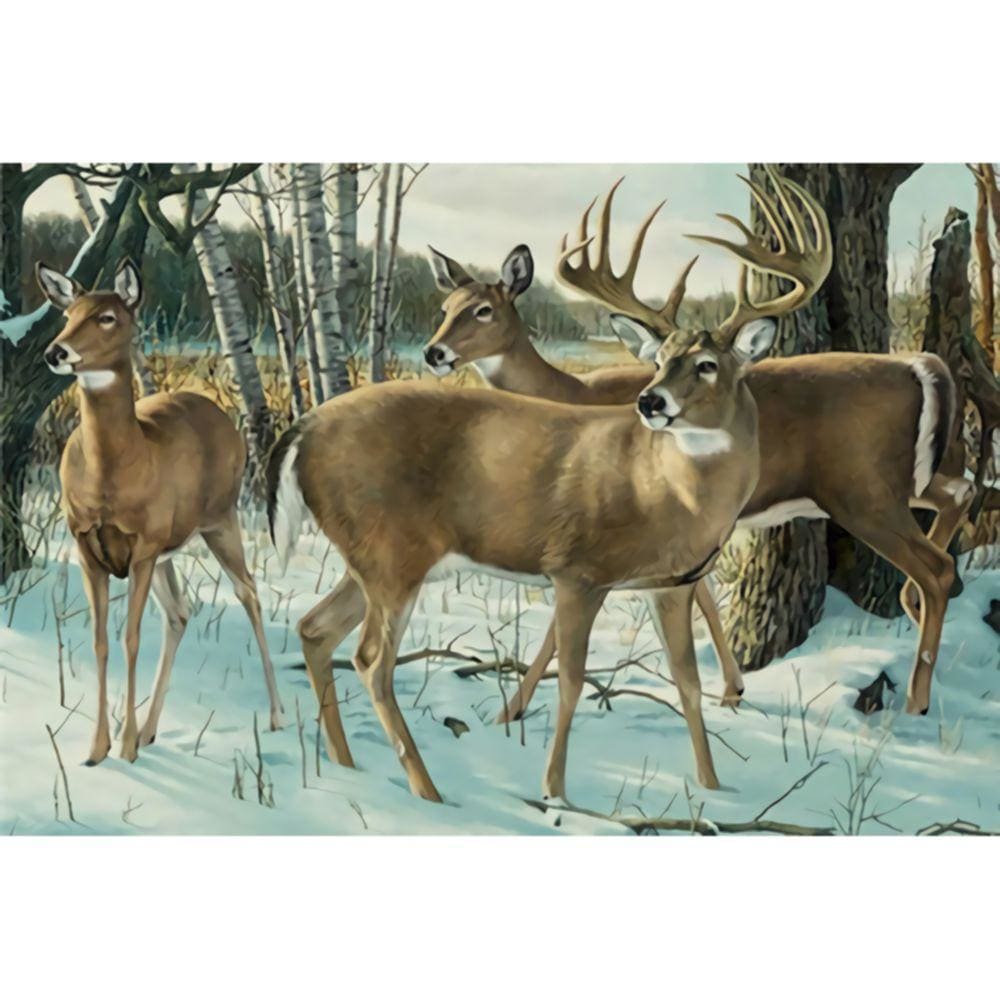 1000pcs Jigsaw Puzzle A2997 - Justjigsaws