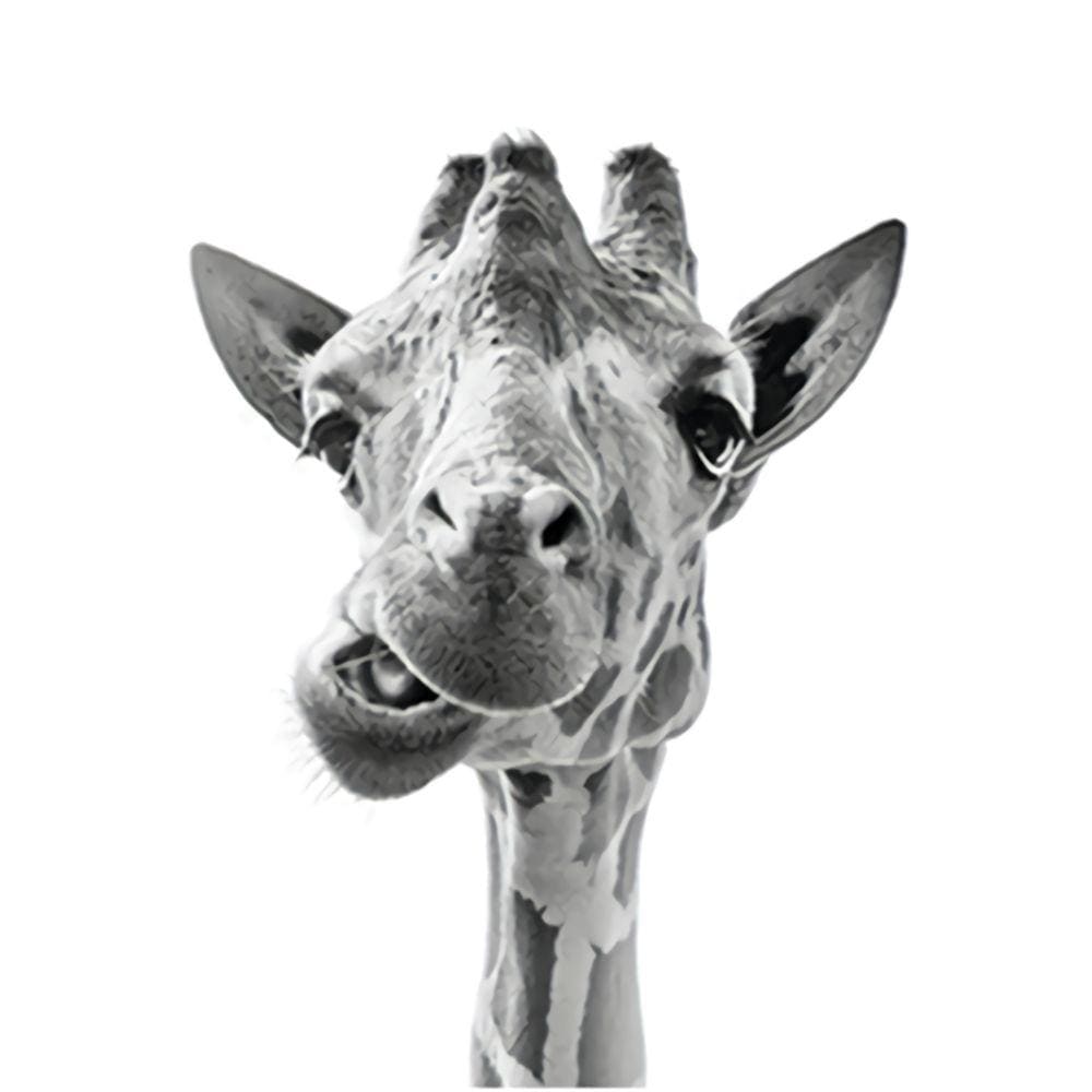 1000pcs Jigsaw Puzzle A3526 - Justjigsaws