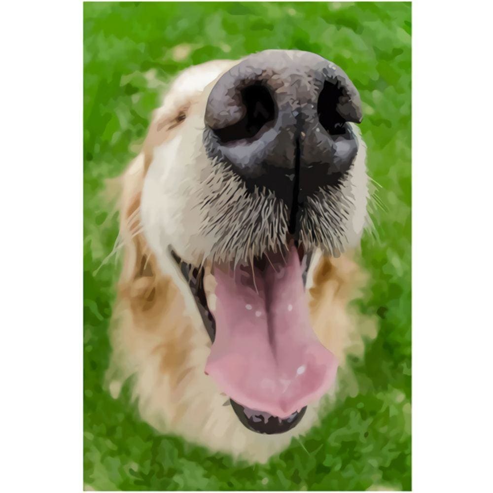 1000pcs Jigsaw Puzzle A3793 - Justjigsaws