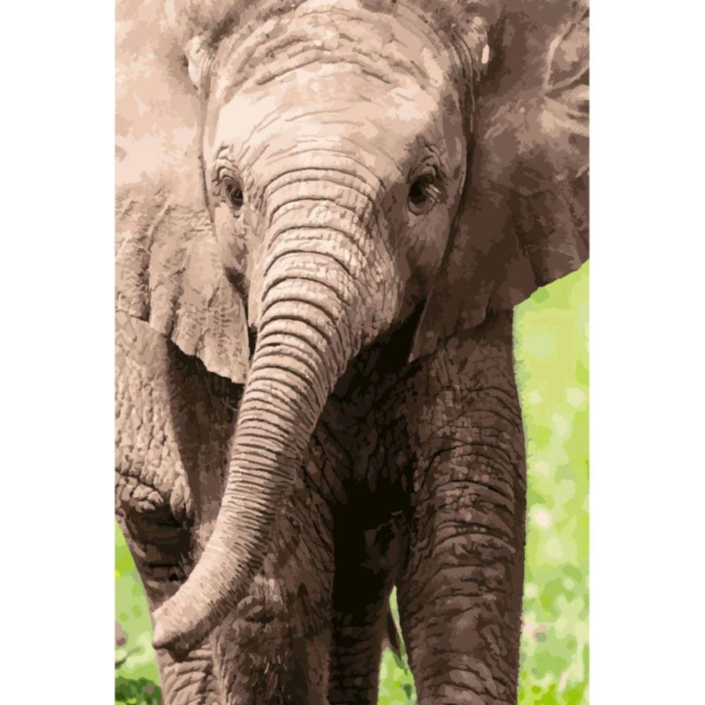 1000pcs Jigsaw Puzzle A3935 - Justjigsaws