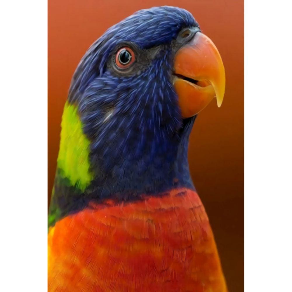 1000pcs Jigsaw Puzzle A4103 - Justjigsaws