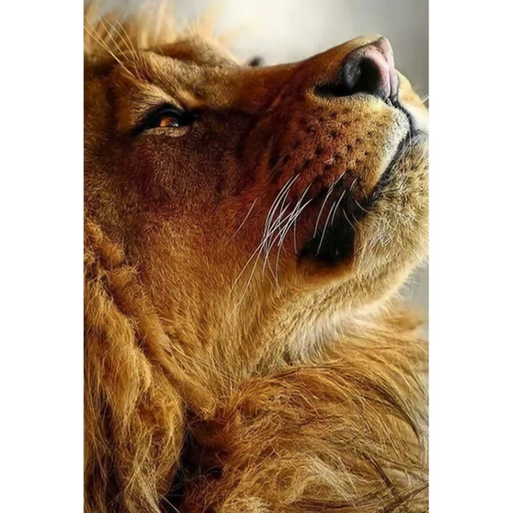 1000pcs Jigsaw Puzzle A4390 - Justjigsaws