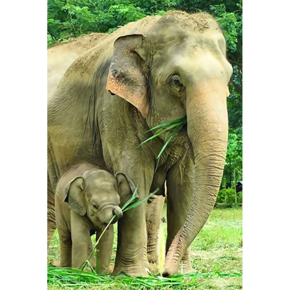 1000pcs Jigsaw Puzzle A4511 - Justjigsaws