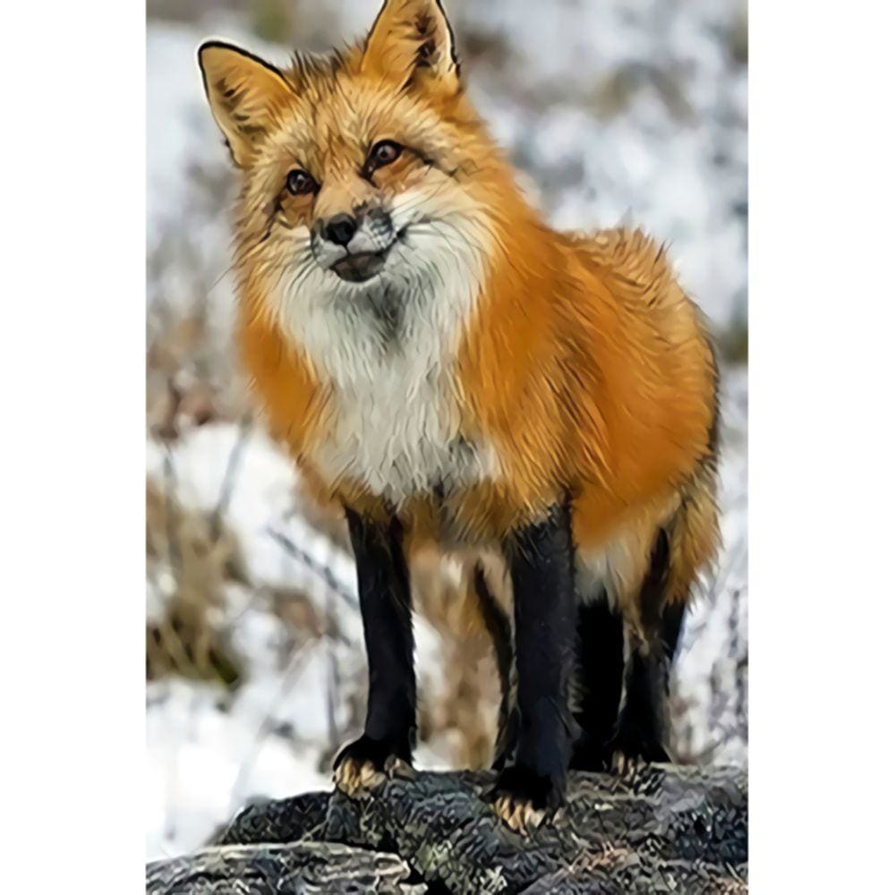 1000pcs Jigsaw Puzzle A4571 - Justjigsaws