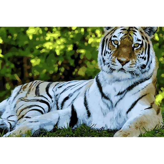 1000pcs Jigsaw Puzzle A1592 - Justjigsaws