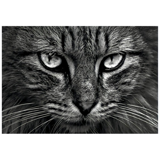 1000pcs Jigsaw Puzzle A1677 - Justjigsaws