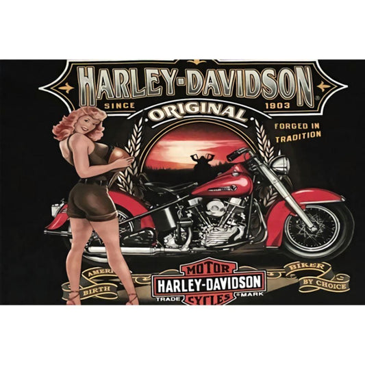 1000pcs Jigsaw Puzzle A2104 - Justjigsaws