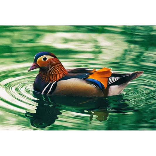 1000pcs Jigsaw Puzzle A2631 - Justjigsaws