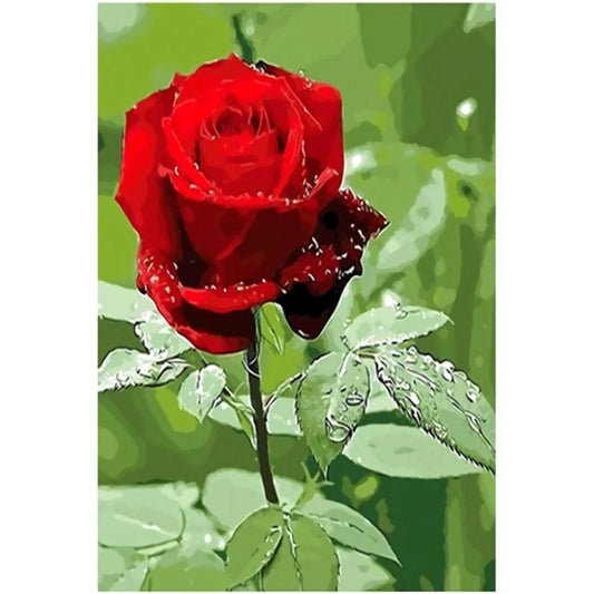1000pcs Jigsaw Puzzle A3161 - Justjigsaws