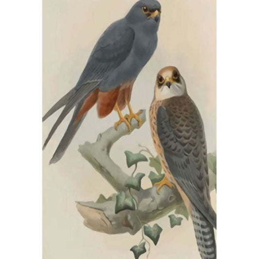 1000pcs Jigsaw Puzzle A3324 - Justjigsaws