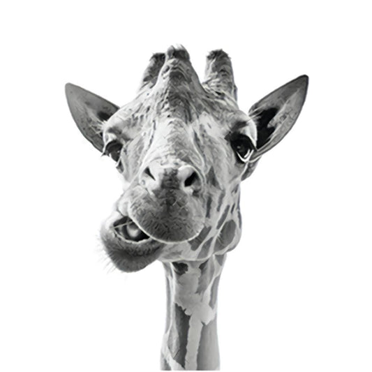 1000pcs Jigsaw Puzzle A3526 - Justjigsaws