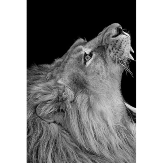 1000pcs Jigsaw Puzzle A3637 - Justjigsaws