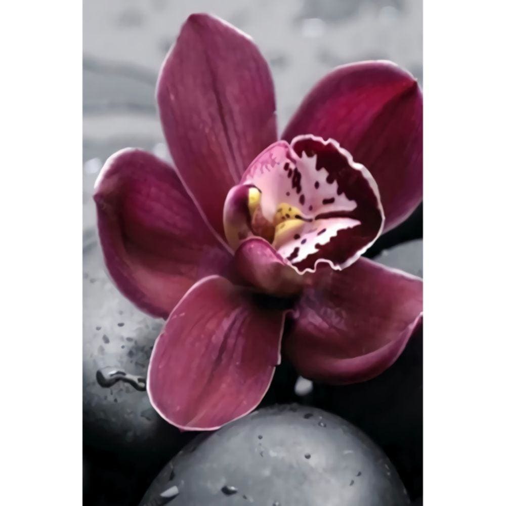 1000pcs Jigsaw Puzzle A3683 - Justjigsaws