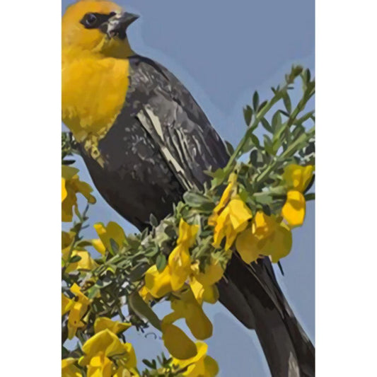 1000pcs Jigsaw Puzzle A3836 - Justjigsaws