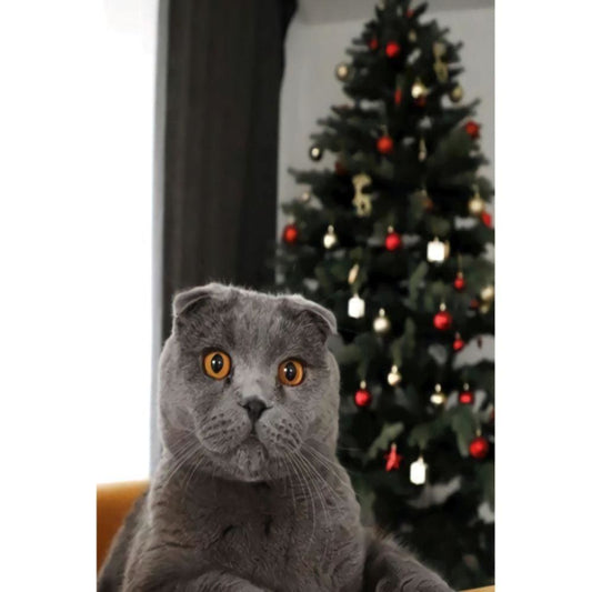 1000pcs Jigsaw Puzzle A4107 - Justjigsaws