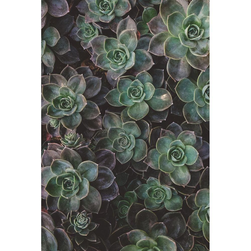 1000pcs Jigsaw Puzzle A423 - Justjigsaws