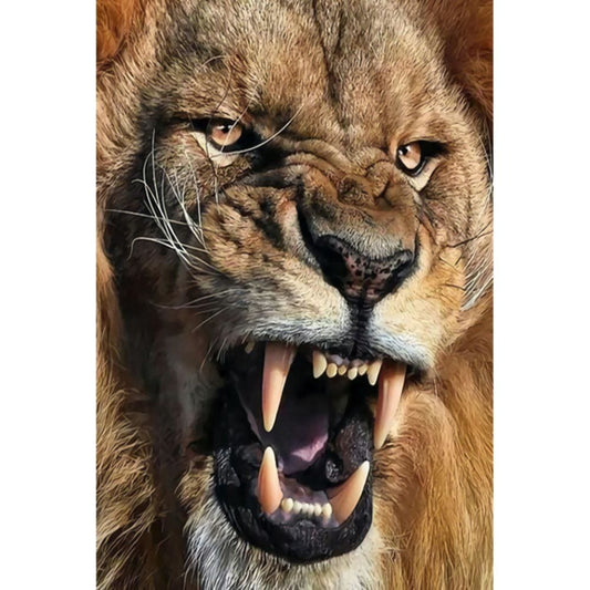 1000pcs Jigsaw Puzzle A4343 - Justjigsaws