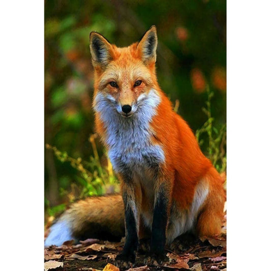 1000pcs Jigsaw Puzzle A4525 - Justjigsaws