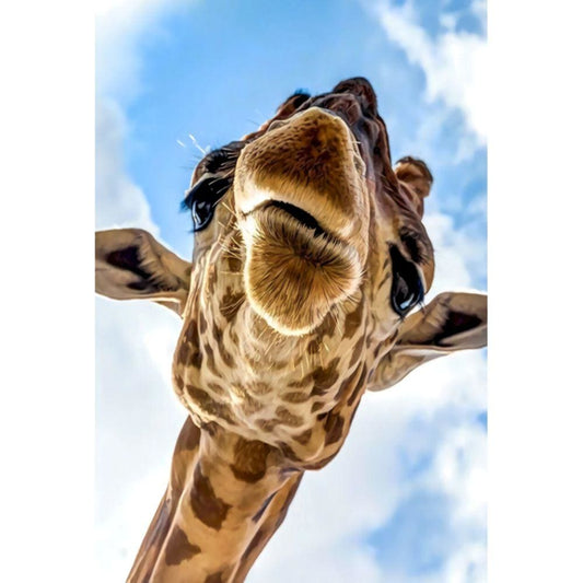 1000pcs Jigsaw Puzzle A4720 - Justjigsaws