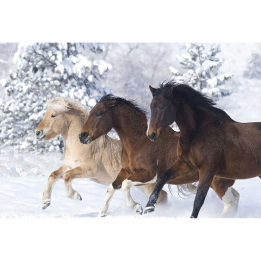 1000pcs Jigsaw Puzzle A4988 - Justjigsaws