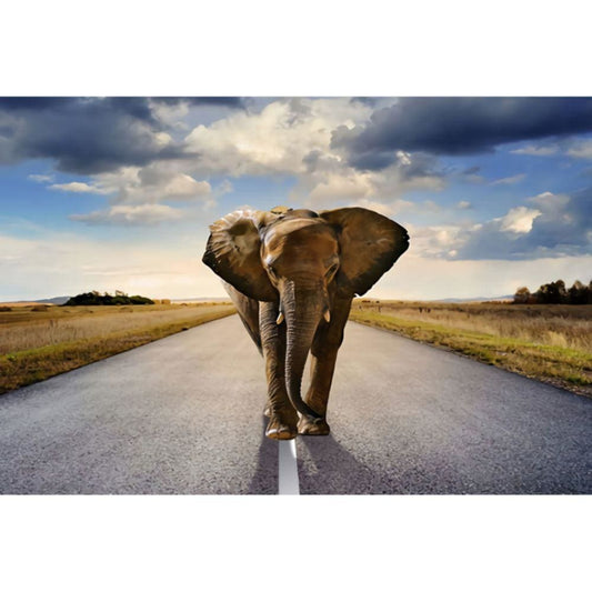 1000pcs Jigsaw Puzzle A5035 - Justjigsaws